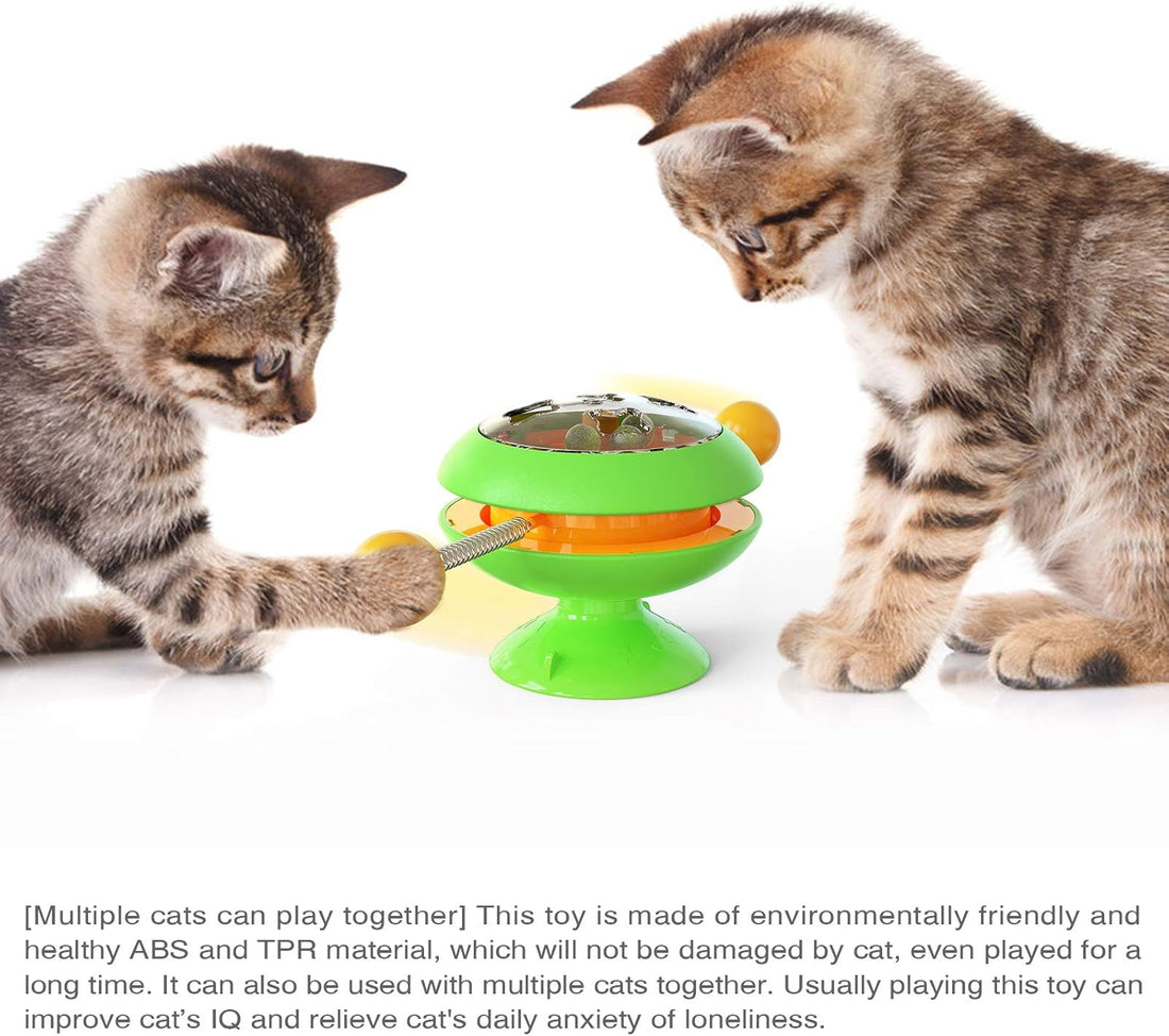 Interactive Catnip Cat Toy