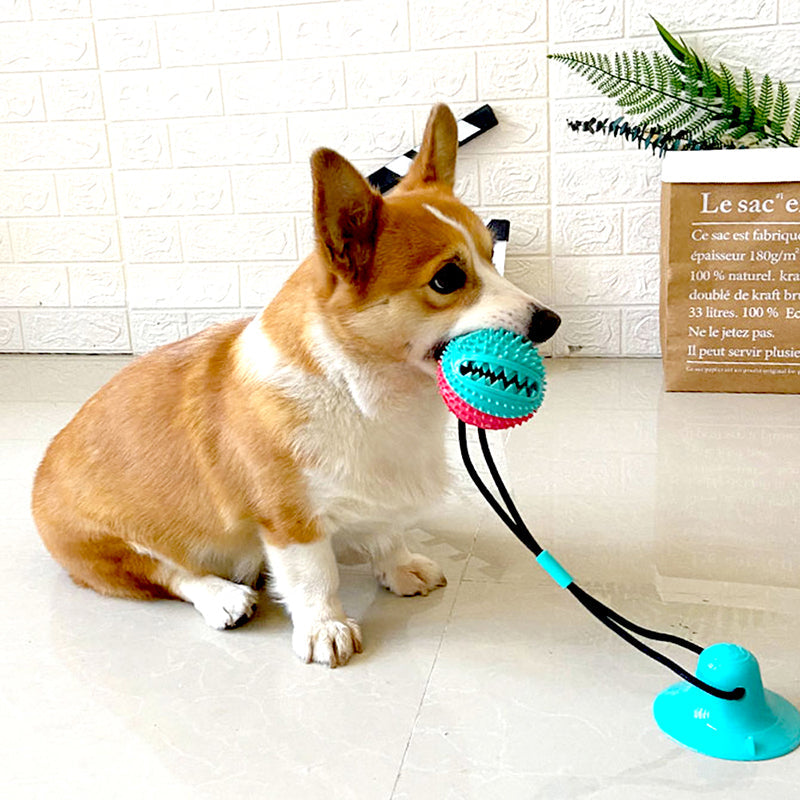 Suction Cup Tug-Of-War Toy