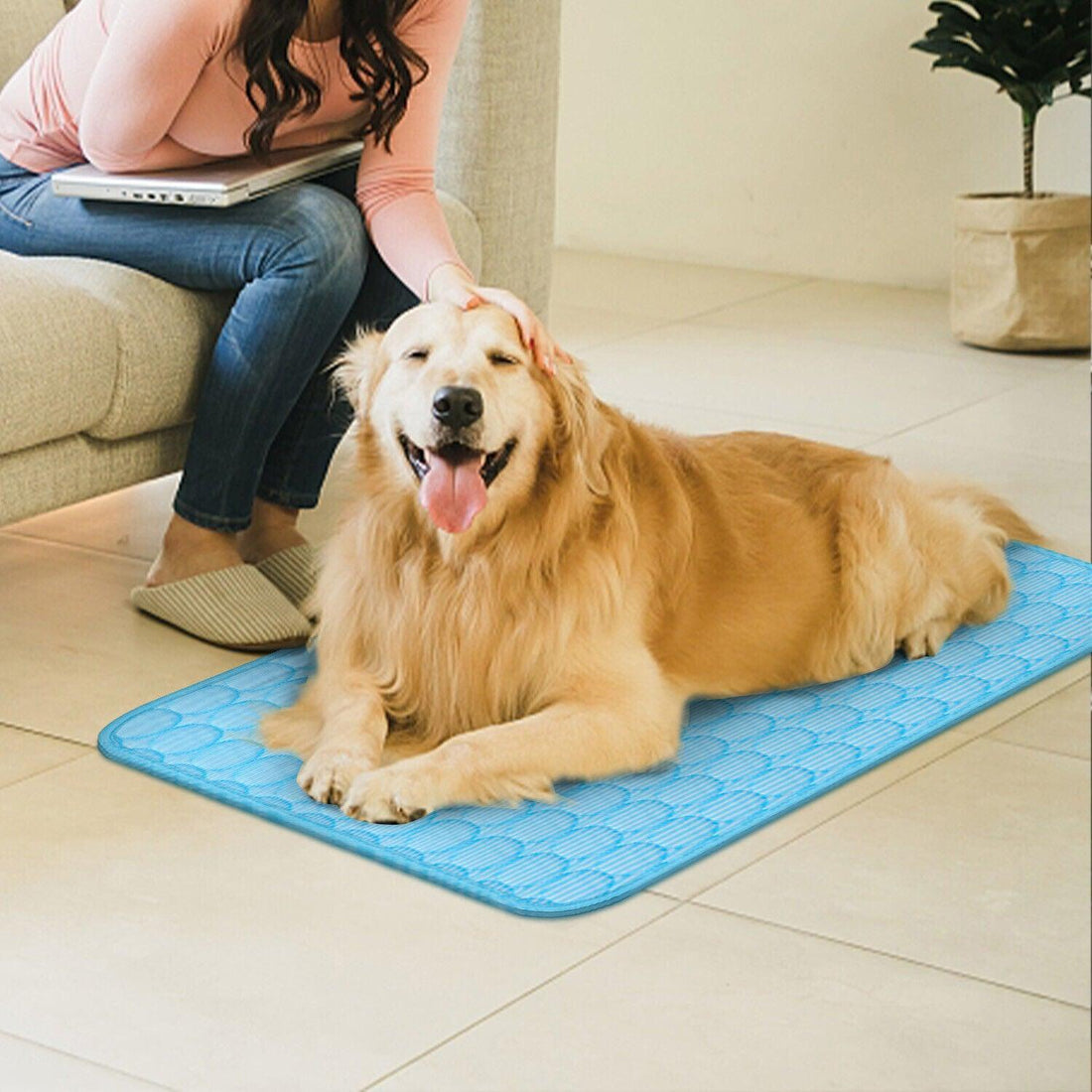 Summer Pet Cooling Mat